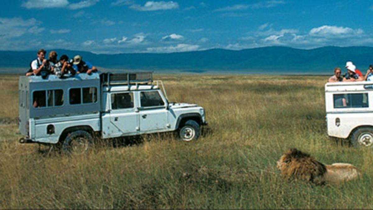 Por las vastas praderas, zonas boscosas y área de sabana del Cráter del Ngorongoro abundan sus fam