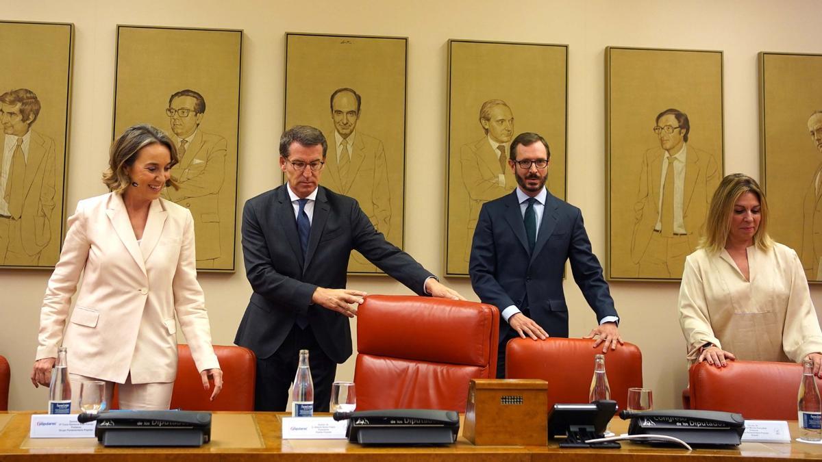 Alberto Núñez Feijóo, en el Congreso.