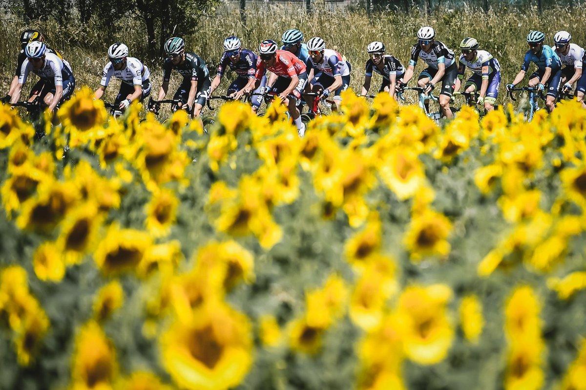 Tour de França: Nîmes, la ciutat massa alegre