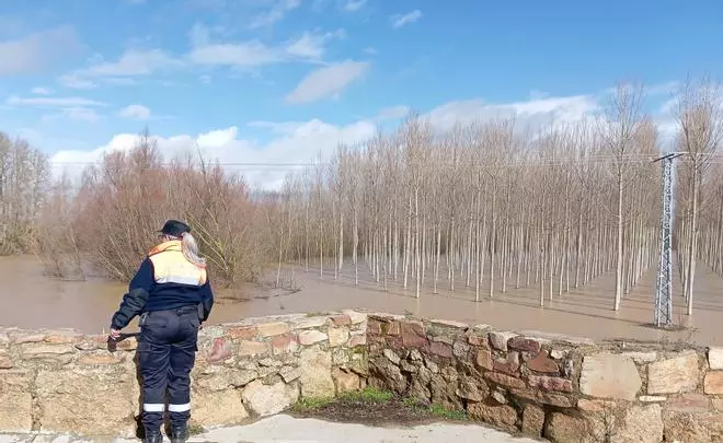 Actualización de la situación de los ríos en Zamora: nivel naranja en Villárdiga y otros ocho activos