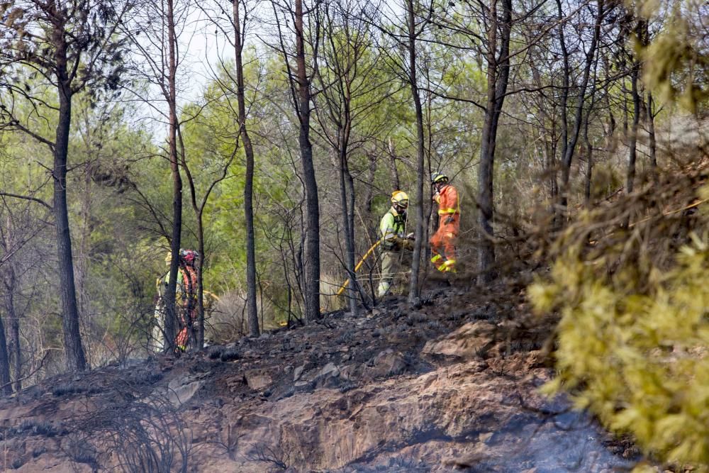 Incendio forestal en la zona el Pi d'Ambrosio de l'Ènova