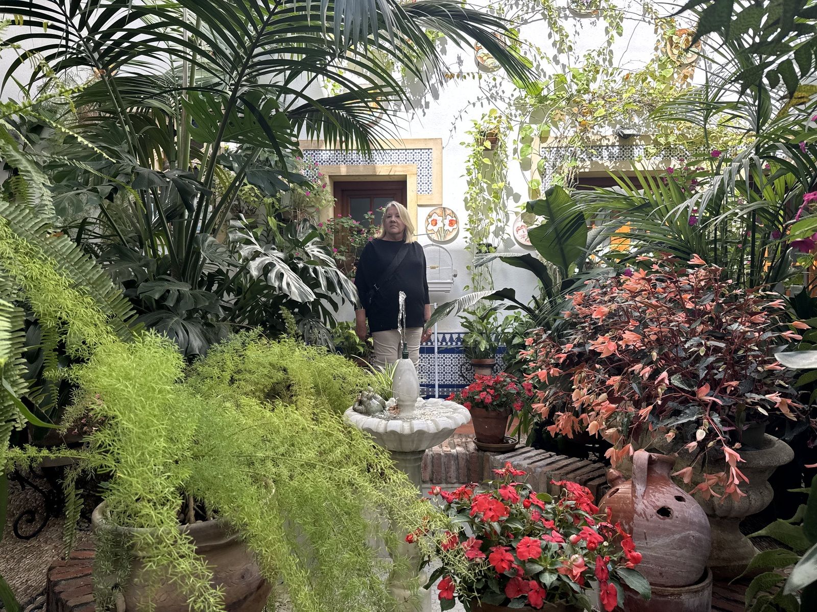 La Ruta 4 de los Patios de Córdoba, en imágenes
