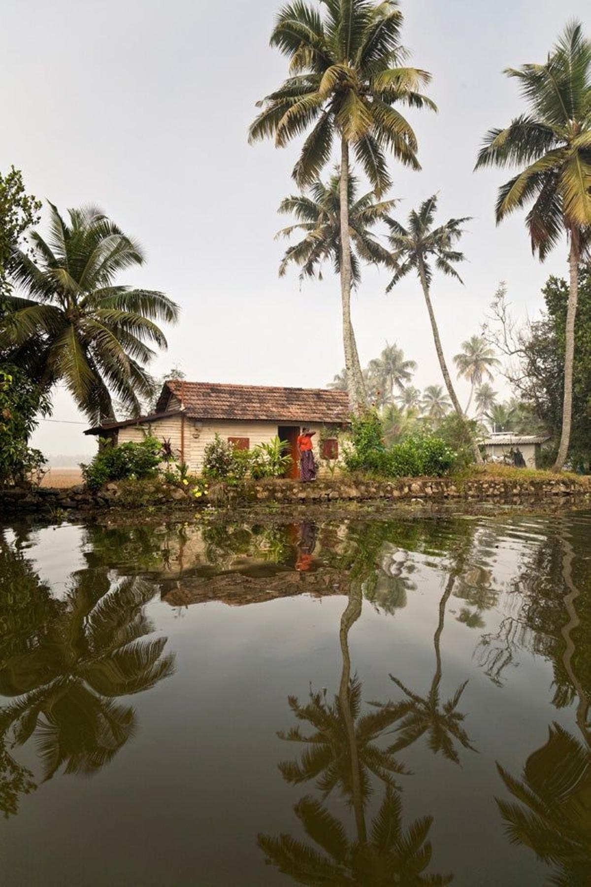 Paisaje típico en los backwaters de Kerala.