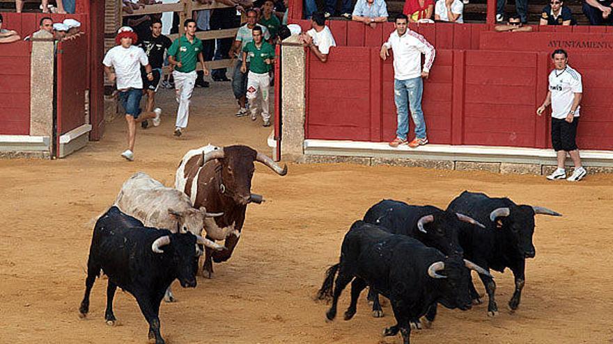 Emoción y valentía sobre el asfalto