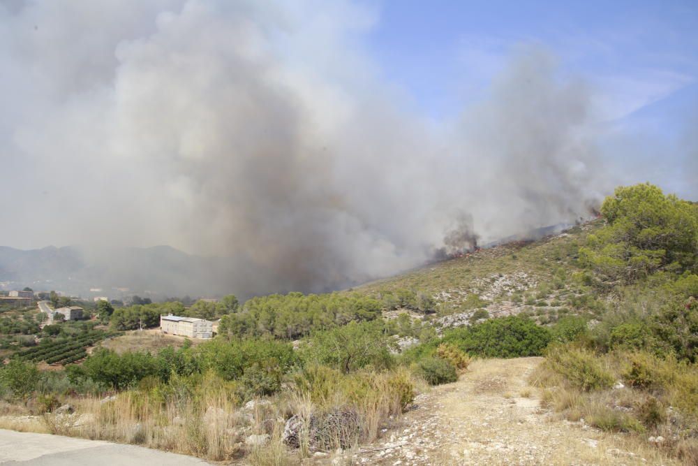 Incendio forestal en Llutxent