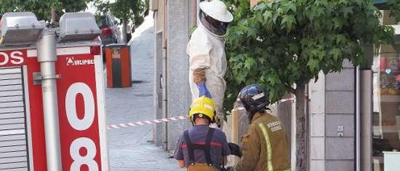 Bomberos retirando un enjambre en avenida de Portugal . // I.O.