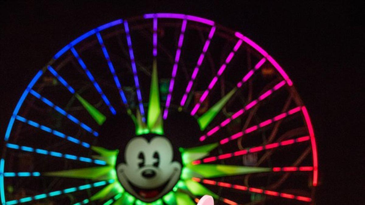 Pareja celebra su boda en Disney California