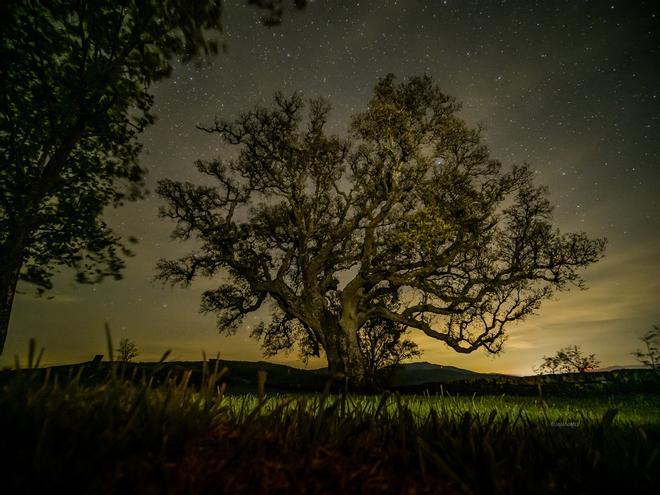 El apagón devuelve las estrellas al cielo de Vigo