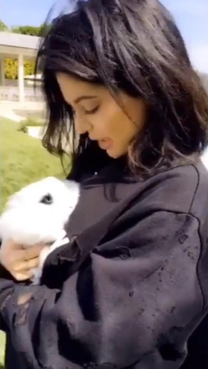 Kylie Jenner encontró un conejo blanco como el de Alicia