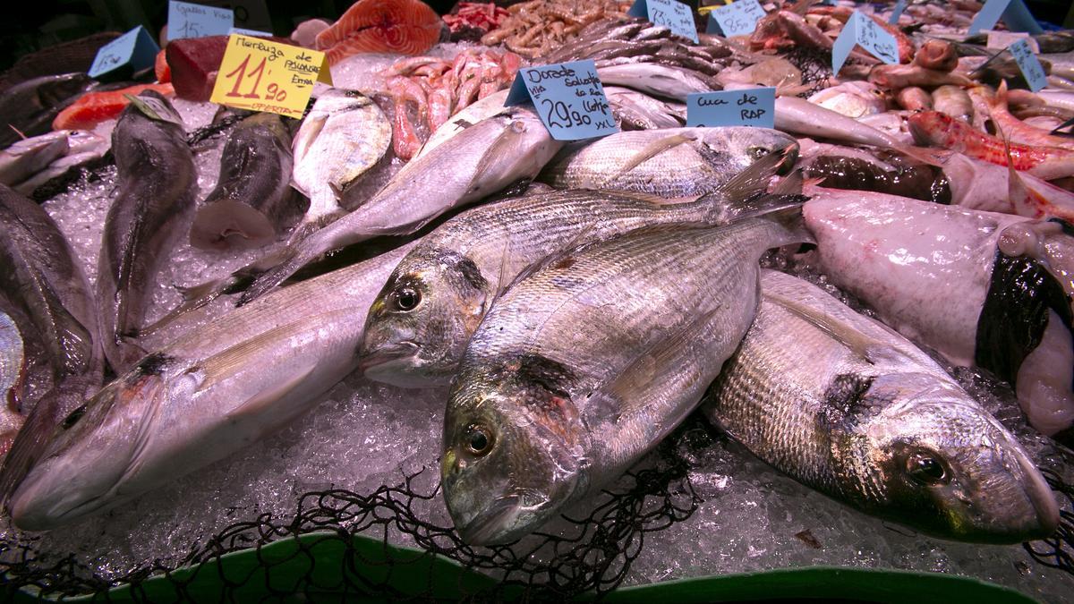 Pescados y mariscos en un puesto de Córdoba.