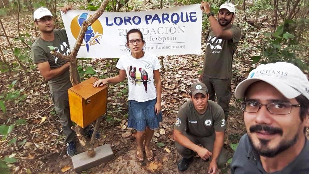 Recuperación de especies en Loro Parque