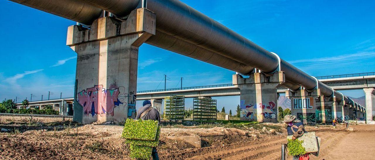 El agua del trasvase empezará a reducirse durante el verano.