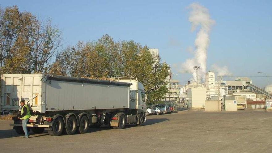 Un transportista se dispone a entregar la remolacha cargada en su camión en la fábrica de Toro.