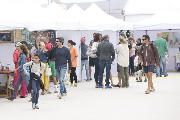 FUERTEVENTURA - El Parque Los Hormiga, en la capital, acoge el Festival Conscientis Fest - 19-05-18