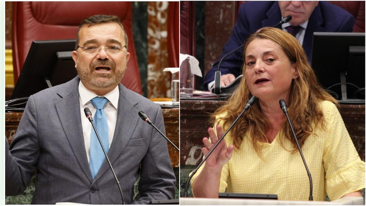 Carlos Albaladejo y Virginia Lopo, diputados del PP y del PSOE en la Asamblea, respectivamente.