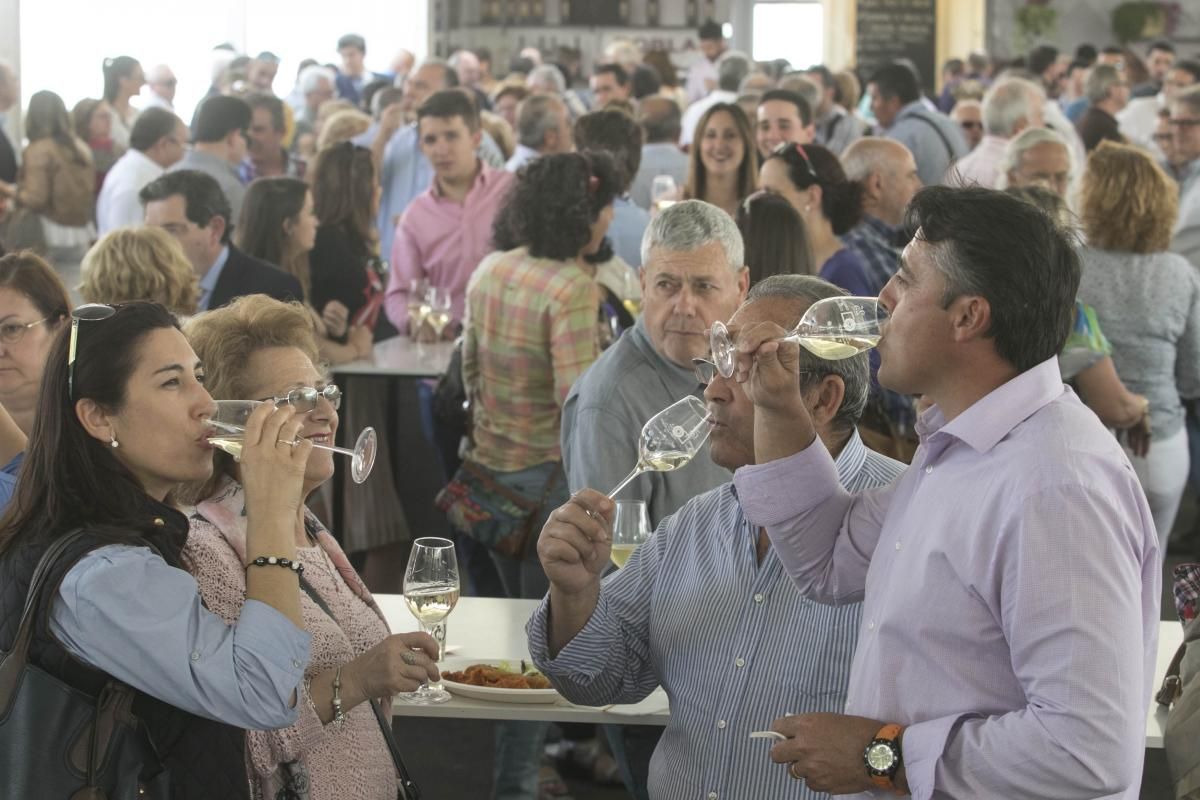 Fotogalería / Segunda jornada de la Cata