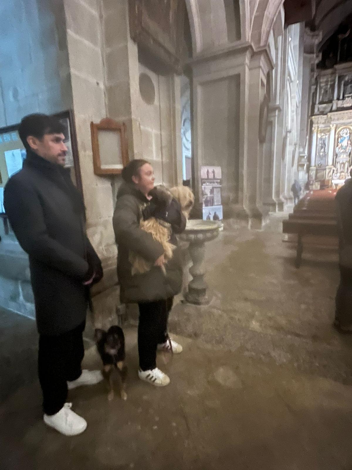 Bendición de animales por San Antón en Santiago