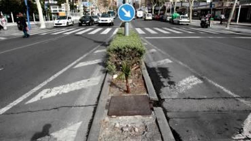 El gobierno local quiere remodelar la avenida Mediterráneo.