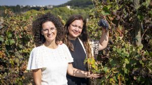 Corpinnat capta nous cellers i aspira a duplicar socis d’aquí a dos anys