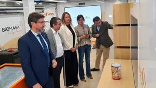 Hunosa se sitúa como la impulsora del sector forestal en Asturias: la central de biomasa funcionará en 2027