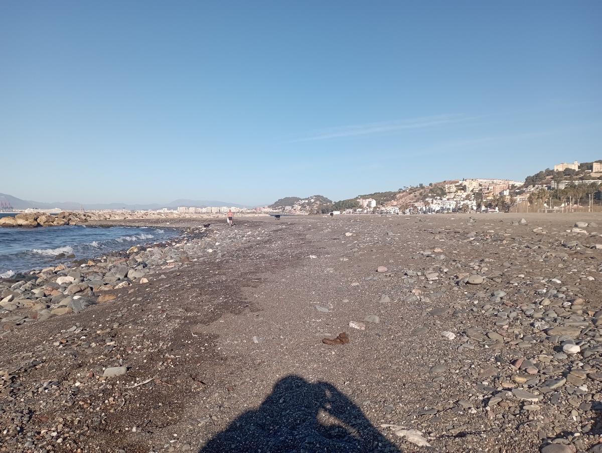 Excremento canino en la playa de las Acacias, con los protagonistas al fondo, hace unos días.