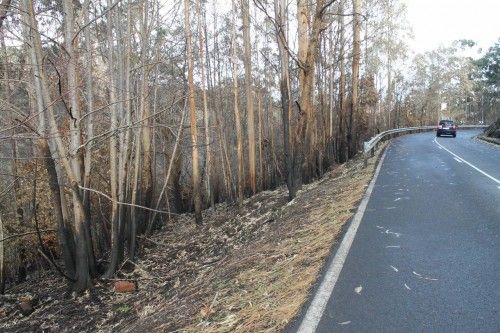 MARCHA ENTRE FUEGO