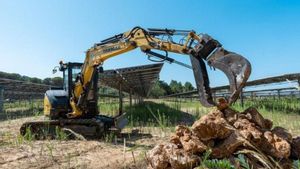 El parc solar públic de Vidreres acollirà un refugi de biodiversitat