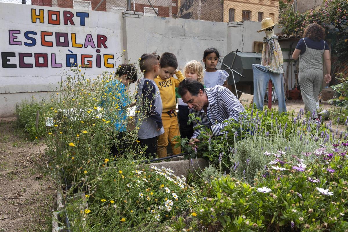 Hort escolar al CEIP Ballester Fandos de València.
