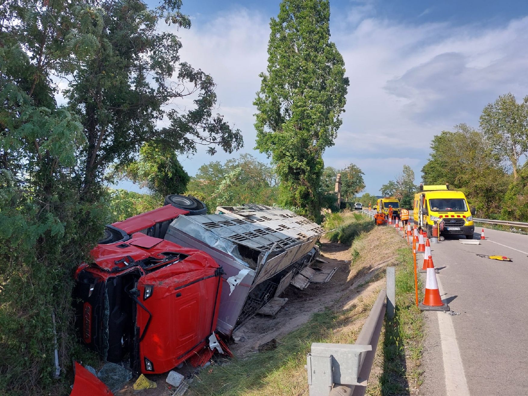 Un camió amb 200 porcs bolca a Moià