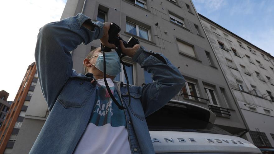 Golondrinas, vencejos y aviones, aves migratorias cada vez más difíciles de ver en Avilés