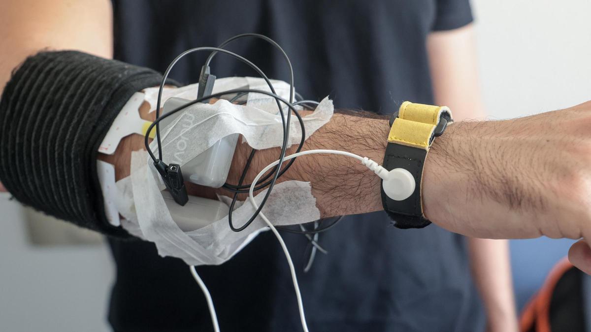El nuevo modelo evalúa con precisión cómo el cerebro controla los músculos y produce los movimientos