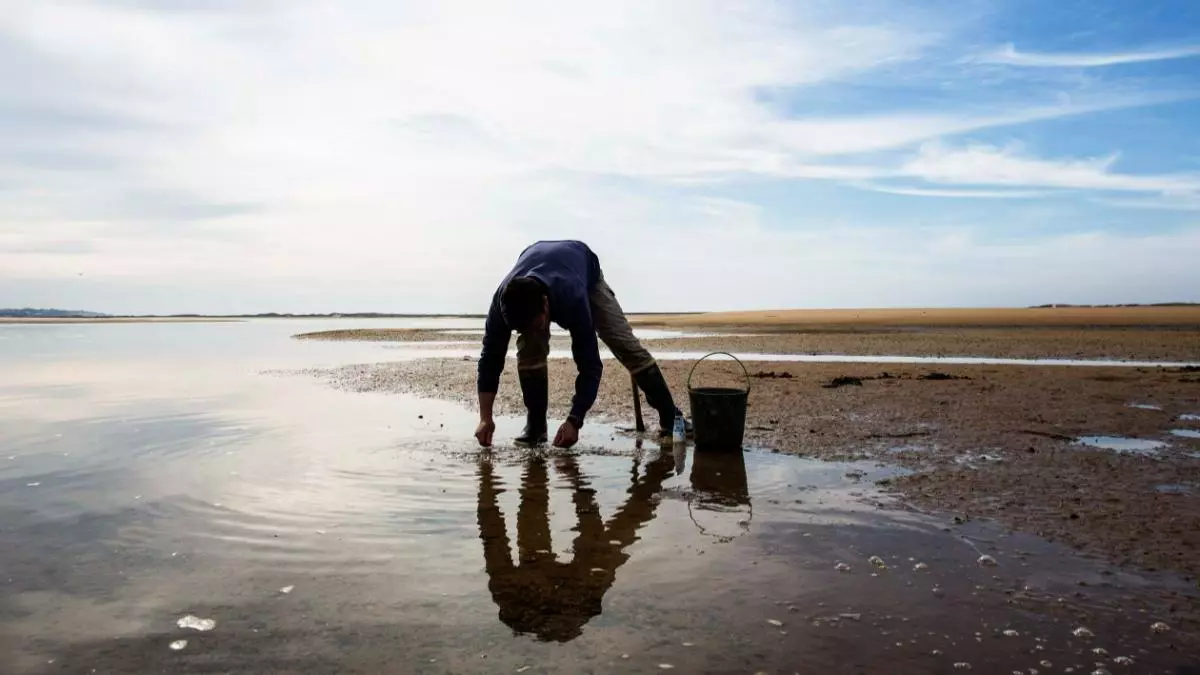 Alta cocina en defensa del mar: chefs eliminan especies en peligro de sus cartas