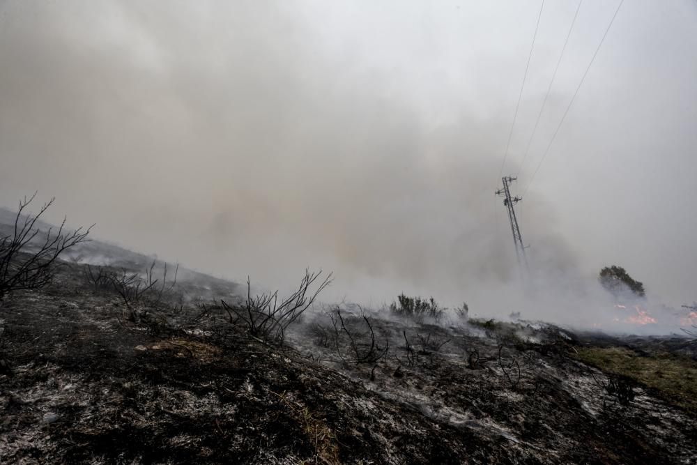 El suroccidente asturiano lucha contra las llamas