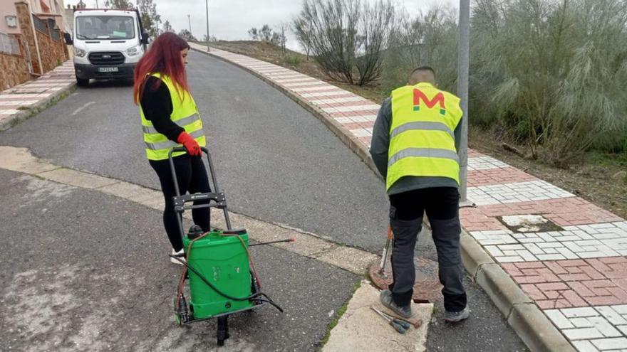 Operarios trabajando en Cuevas Bajas
