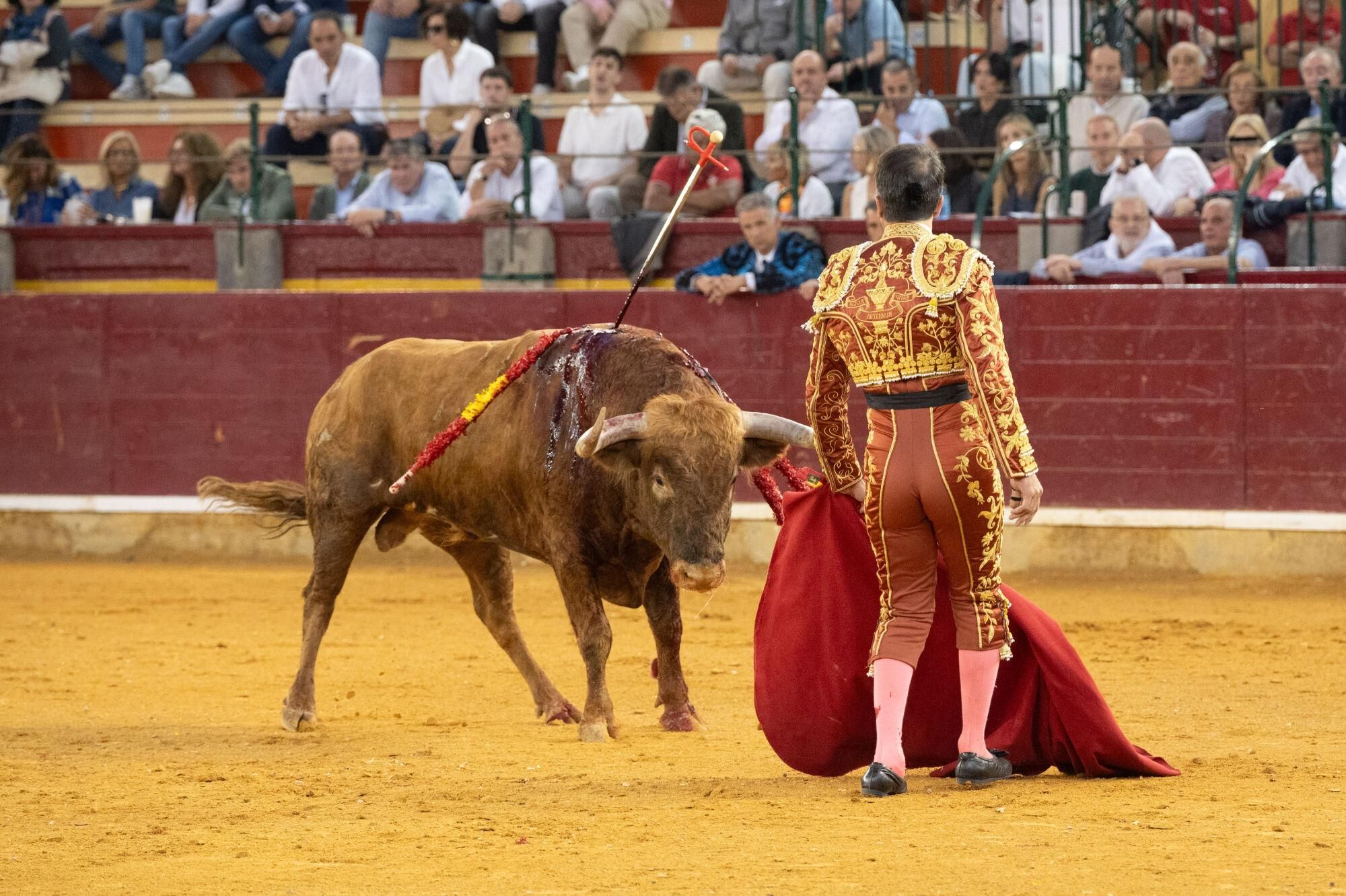 Concurso de ganaderías de la Feria del Pilar