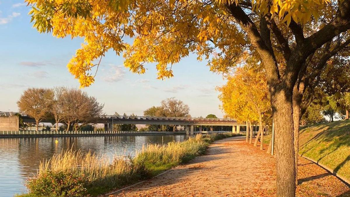Parque Juan Carlos I