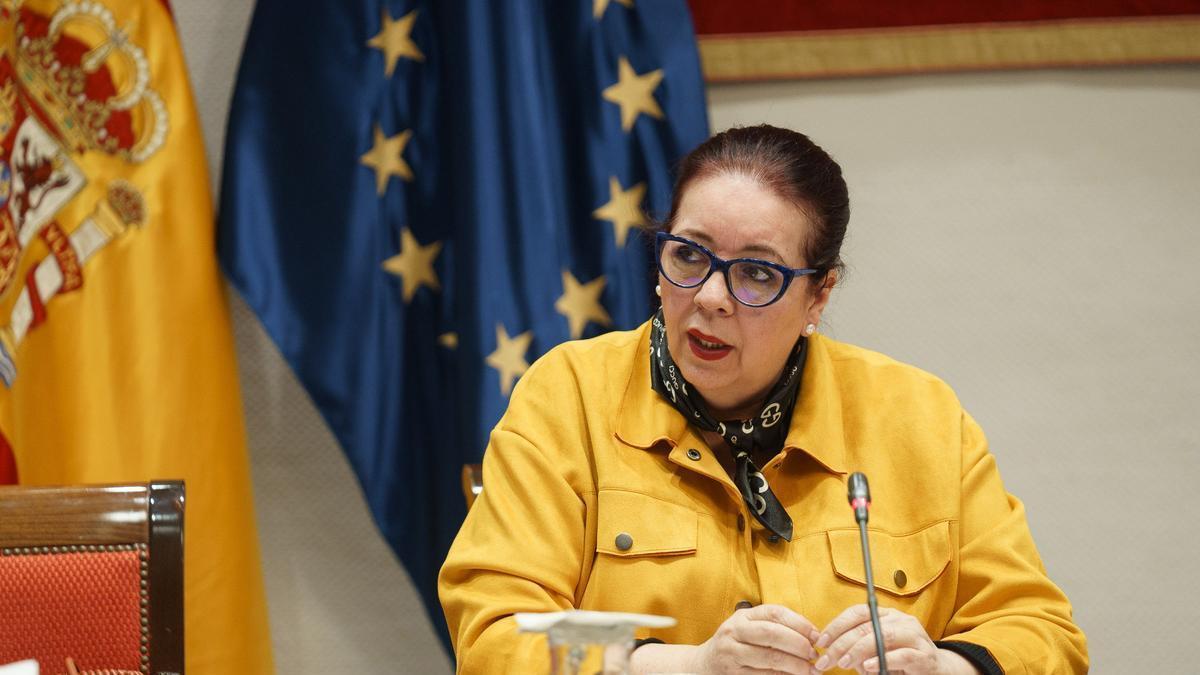 Comparecencia de la consejera de Educación en el Parlamento de Canarias