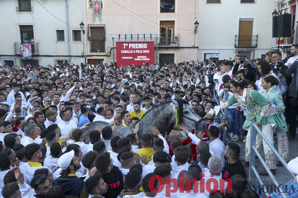 Entrega de premios del concurso de 'Caballo a pelo' en Caravaca