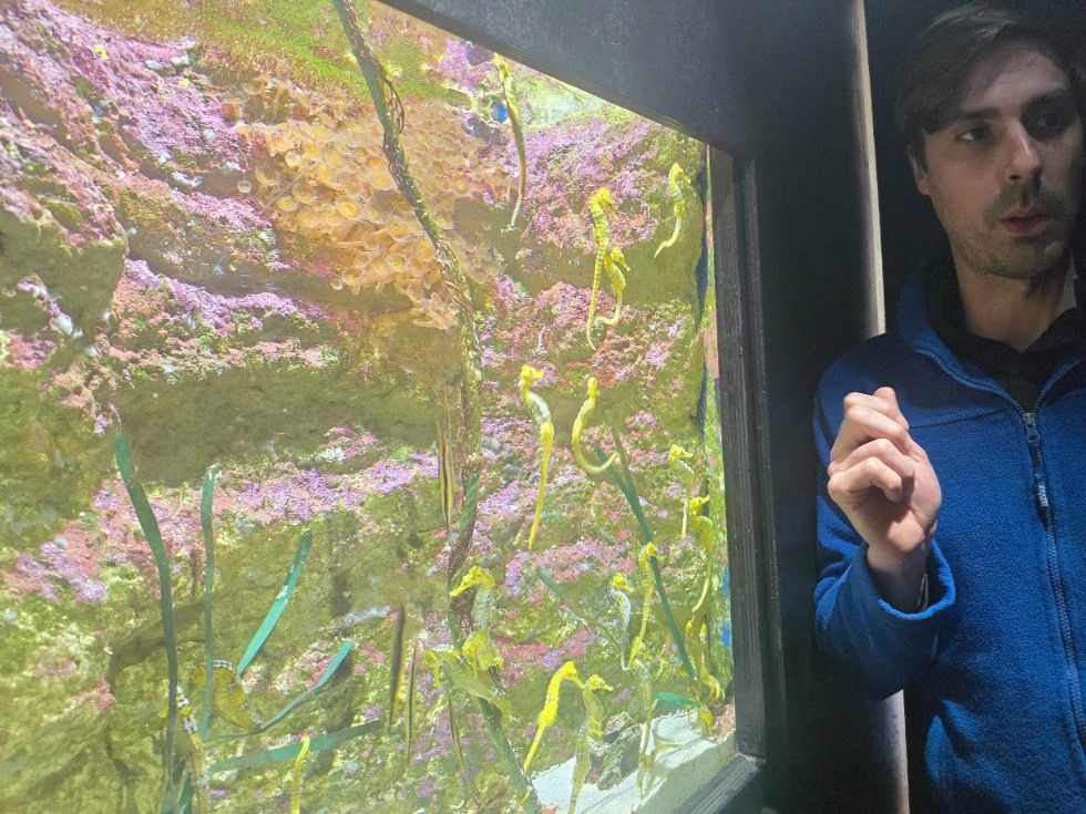 Las instalaciones del Acuario O Grove, en Punta Moreiras.