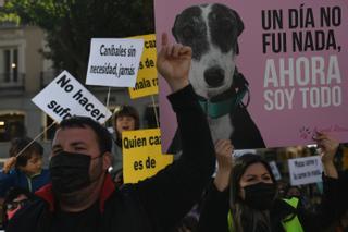 La ley animal, en la picota tras negar el PSOE el acuerdo anunciado por Podemos