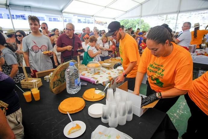 Mogán. Feria del Mango y Aguacate  | 01/09/2019 | Fotógrafo: José Carlos Guerra