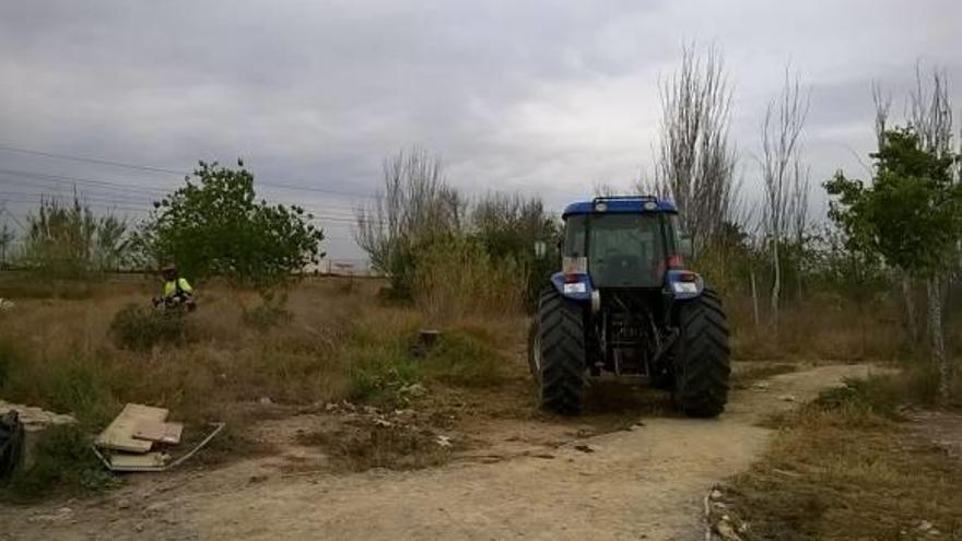 Alboraia limpia de escombros en Carraixet y la playa