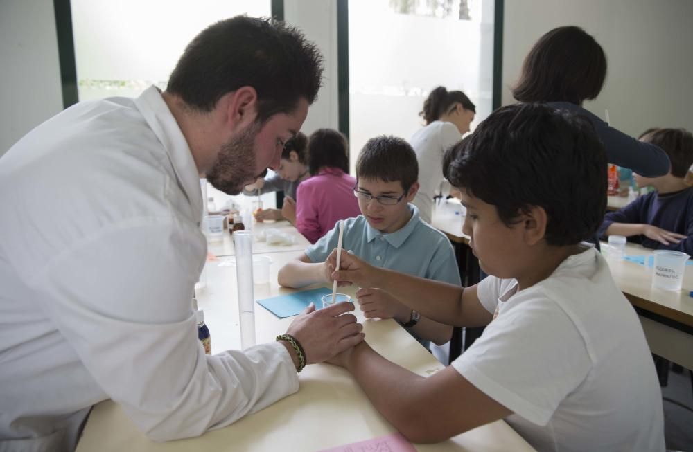 Primavera educativa en Valencia