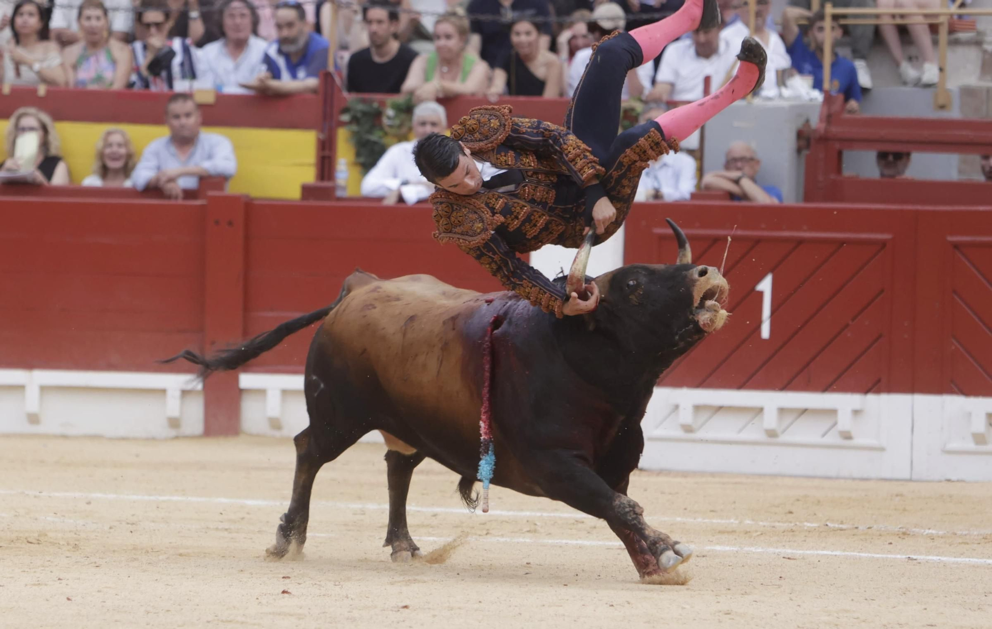 Susto en el cuarto toro de Manzanares en la Feria de Hogueras 2025