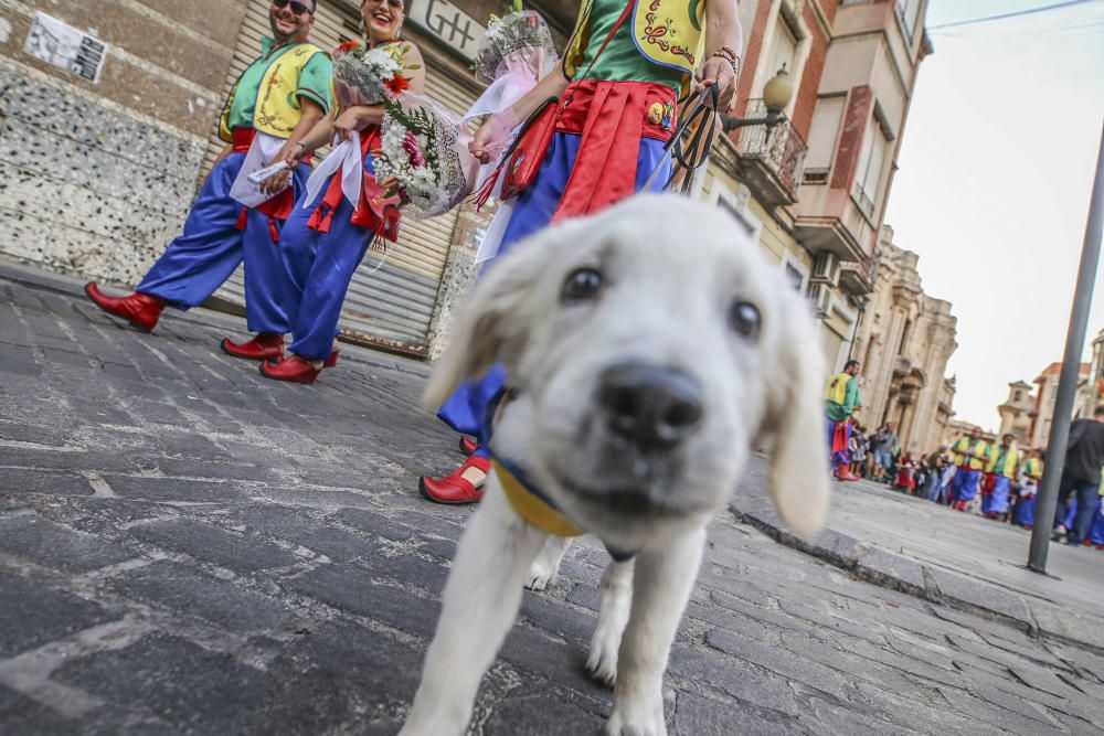 Desfile de abanderadas, ofrenda floral y procesión