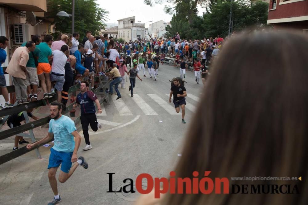 Quinto encierro en Calasparra