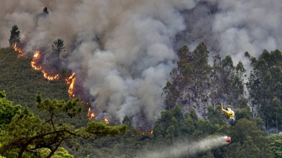 Incendiu forestal en Peñaflor, Grau.