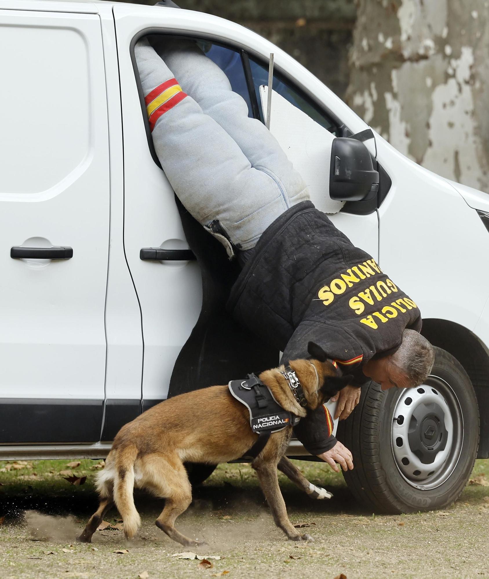 Exhibición de la Policía Nacional en el auditorio de Castrelos en Vigo