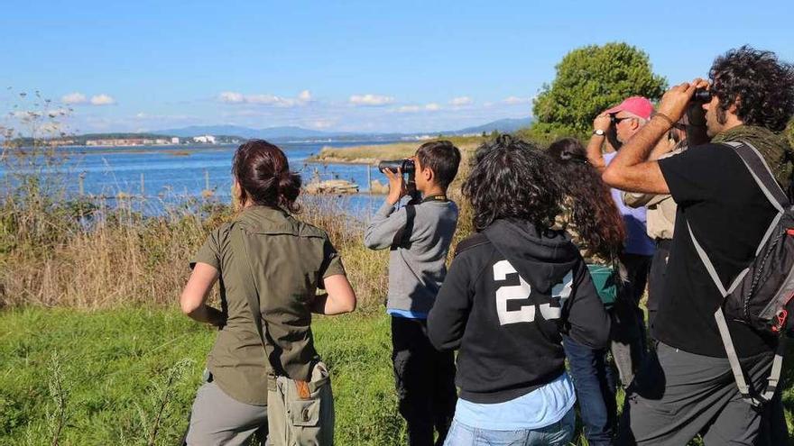 Observación de aves en el complejo intermareal Umia-O Grove. // Muñiz