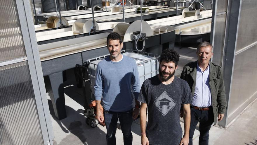 Nel vertederu hai ayalgues biolóxiques: el xixonés David Suárez saca de Cogersa catorce cepes de microalgues